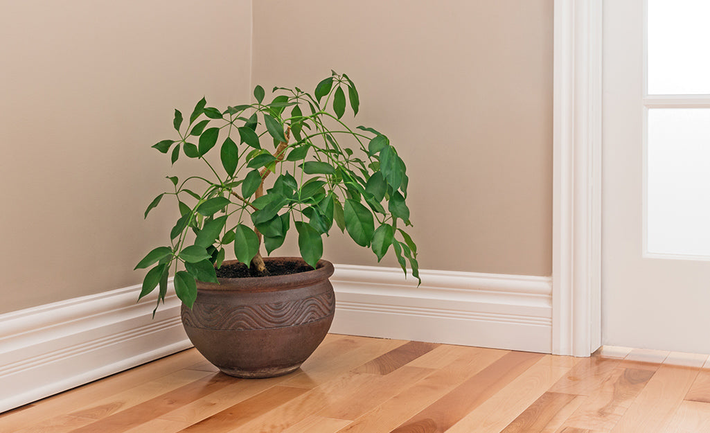 Baseboards